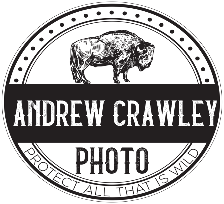 Andrew Crawley Photo