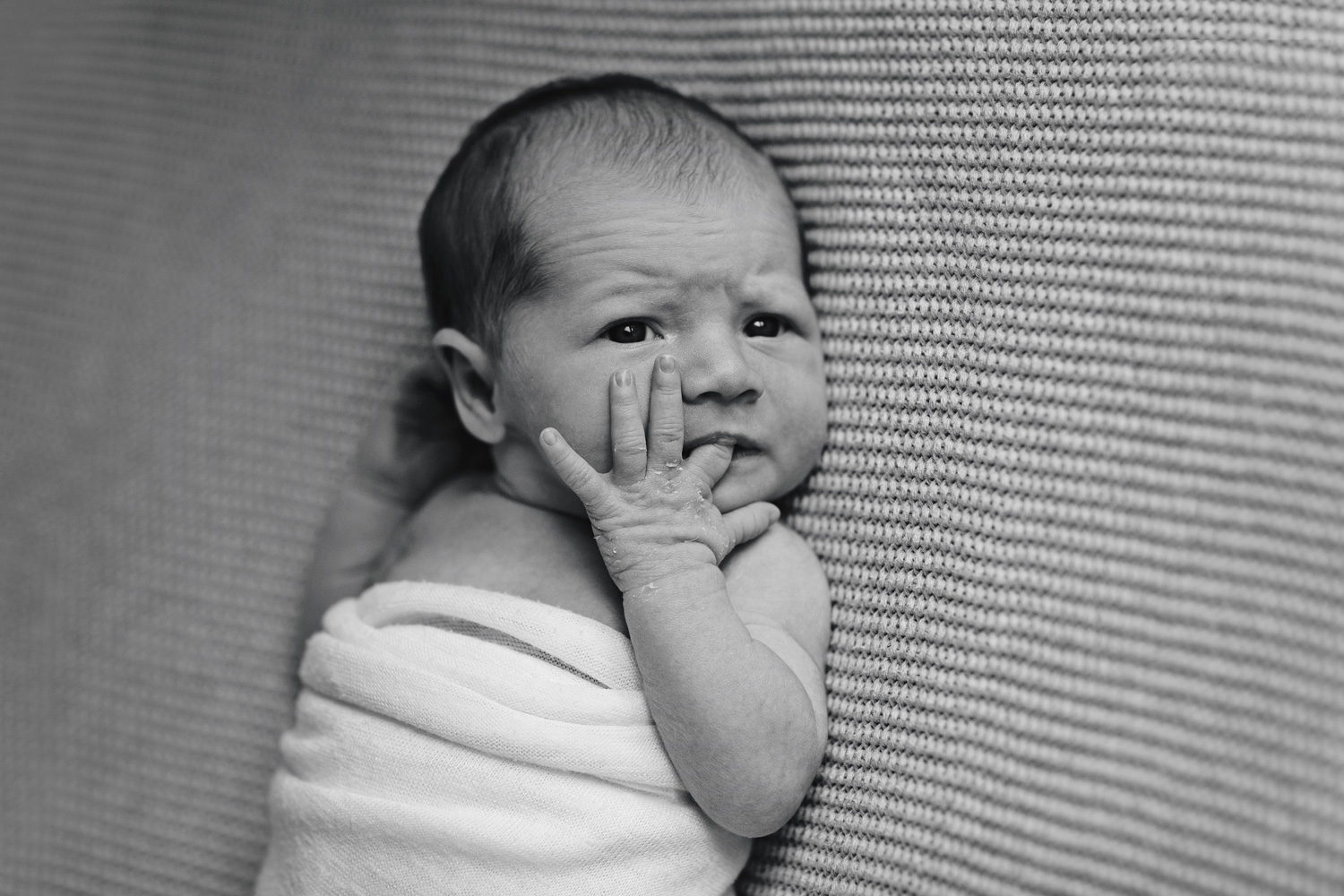 amyalldayphotography-17.(1)jpg