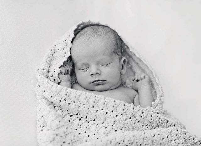 Snug as a bug. 🥰  #amyalldayphotography #melbourne #melbournenewbornphotographer #melbournefamilyphotographer #newborn #newbornphotography #baby #blackandwhitephotography #babyphotography