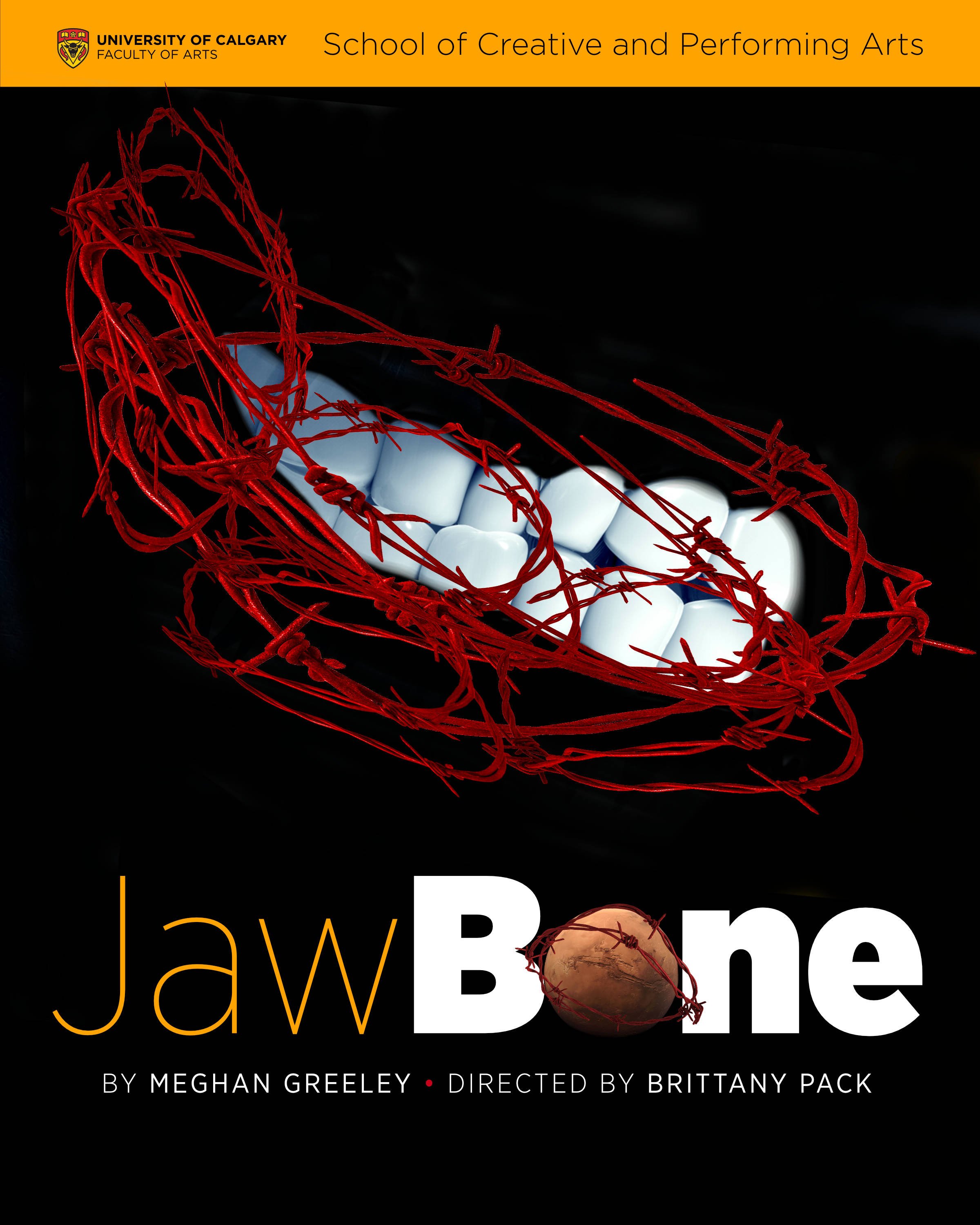 JawboneV1.jpg