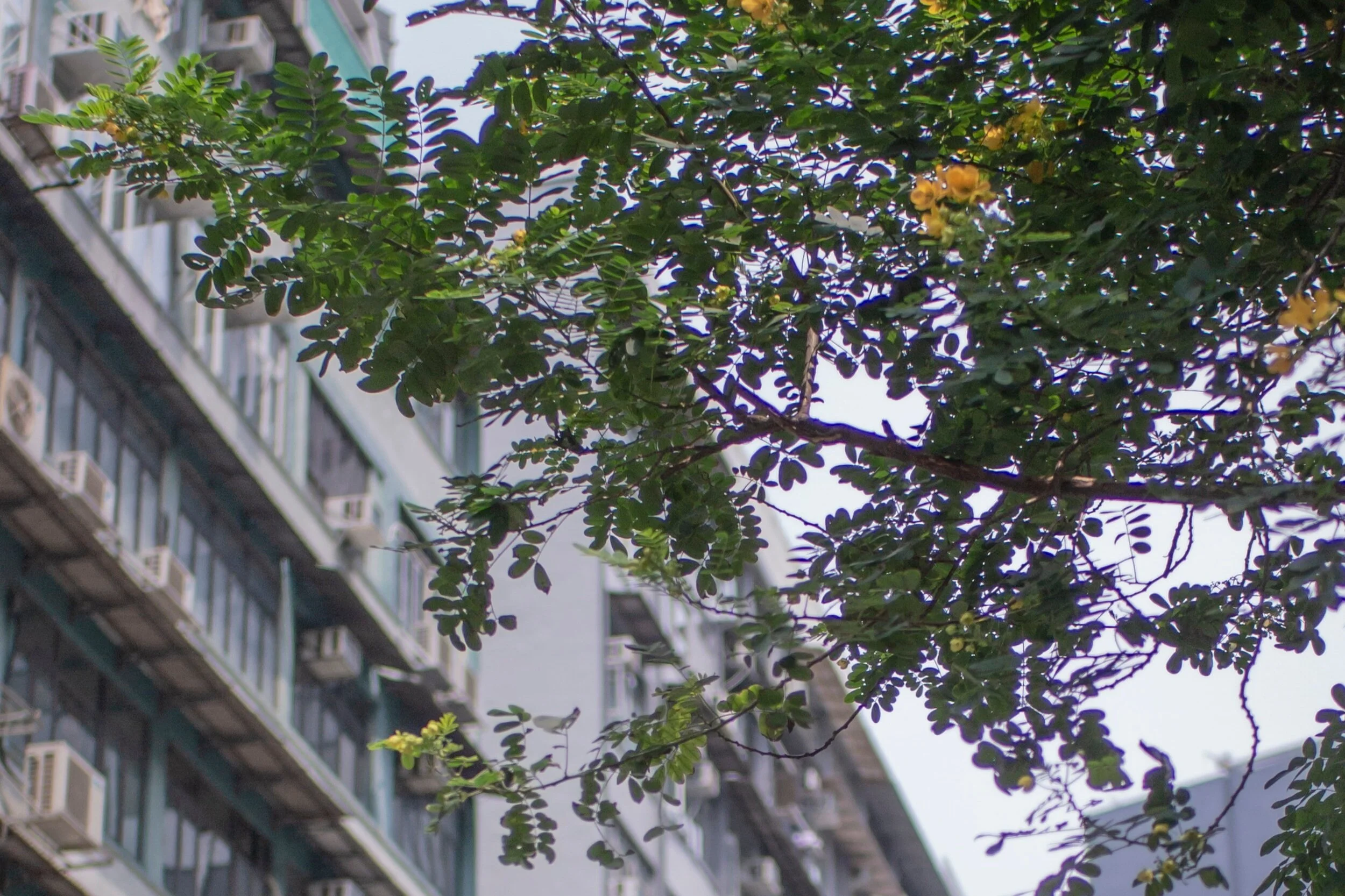 Supporting Chinese Cities During COVID-19