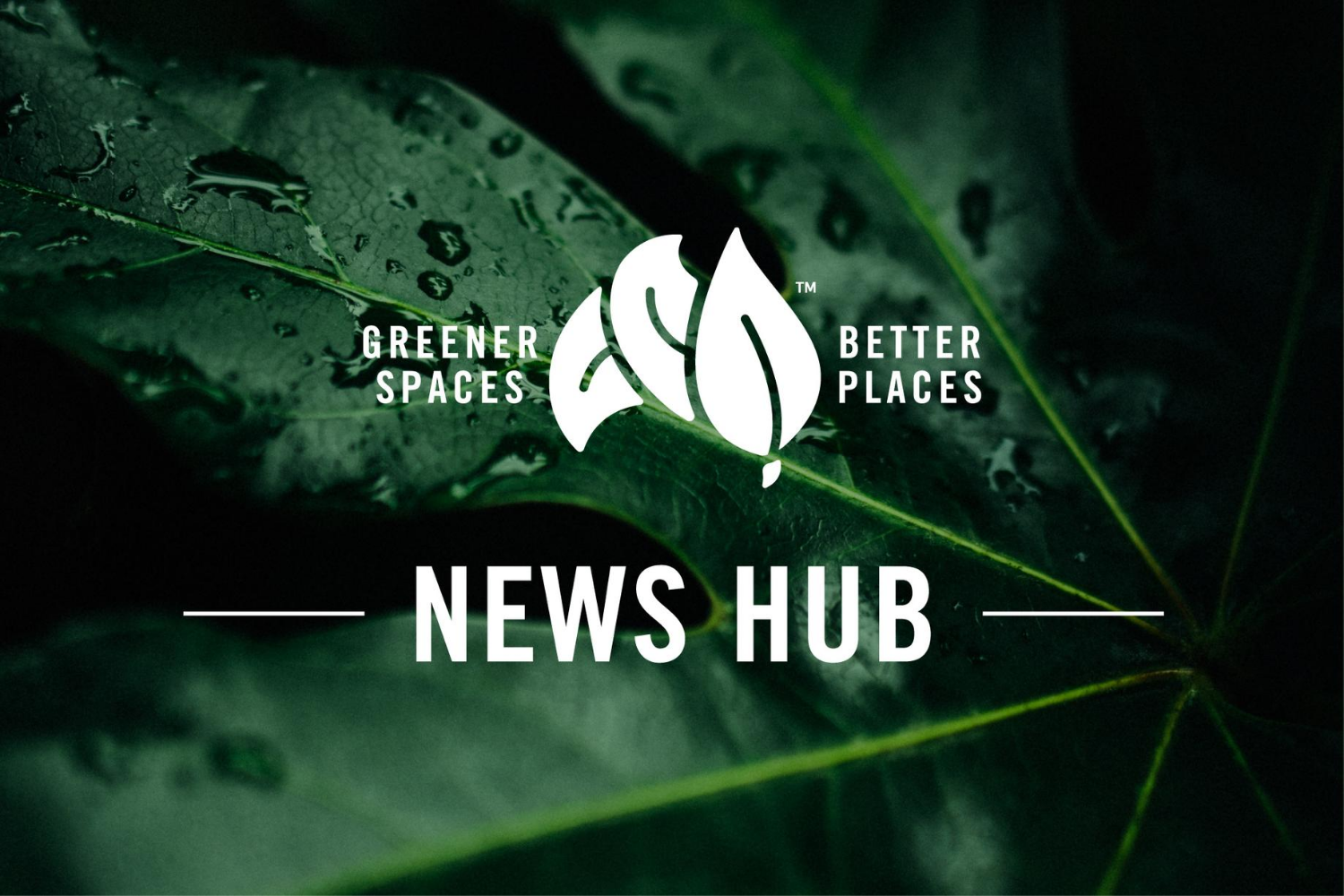 Australians more positive about public green spaces 