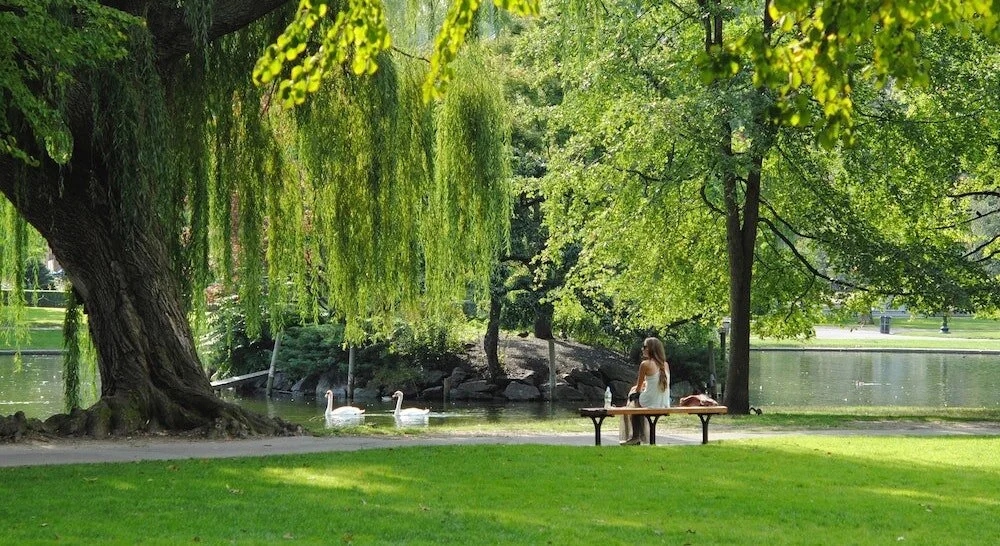 Living Network Update (October)