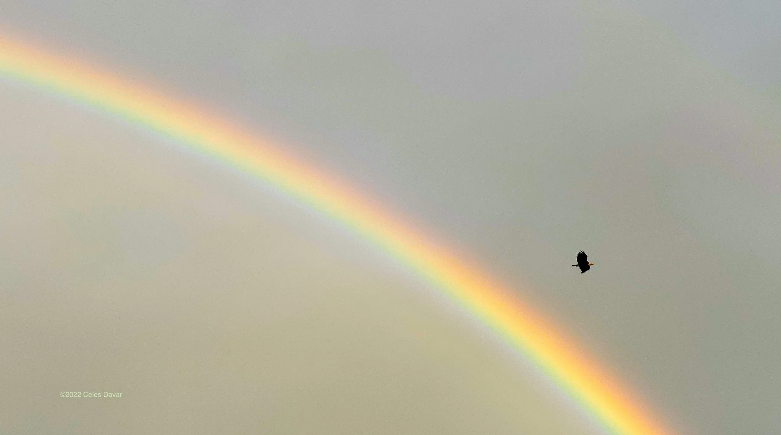 Tips for travelling responsibly