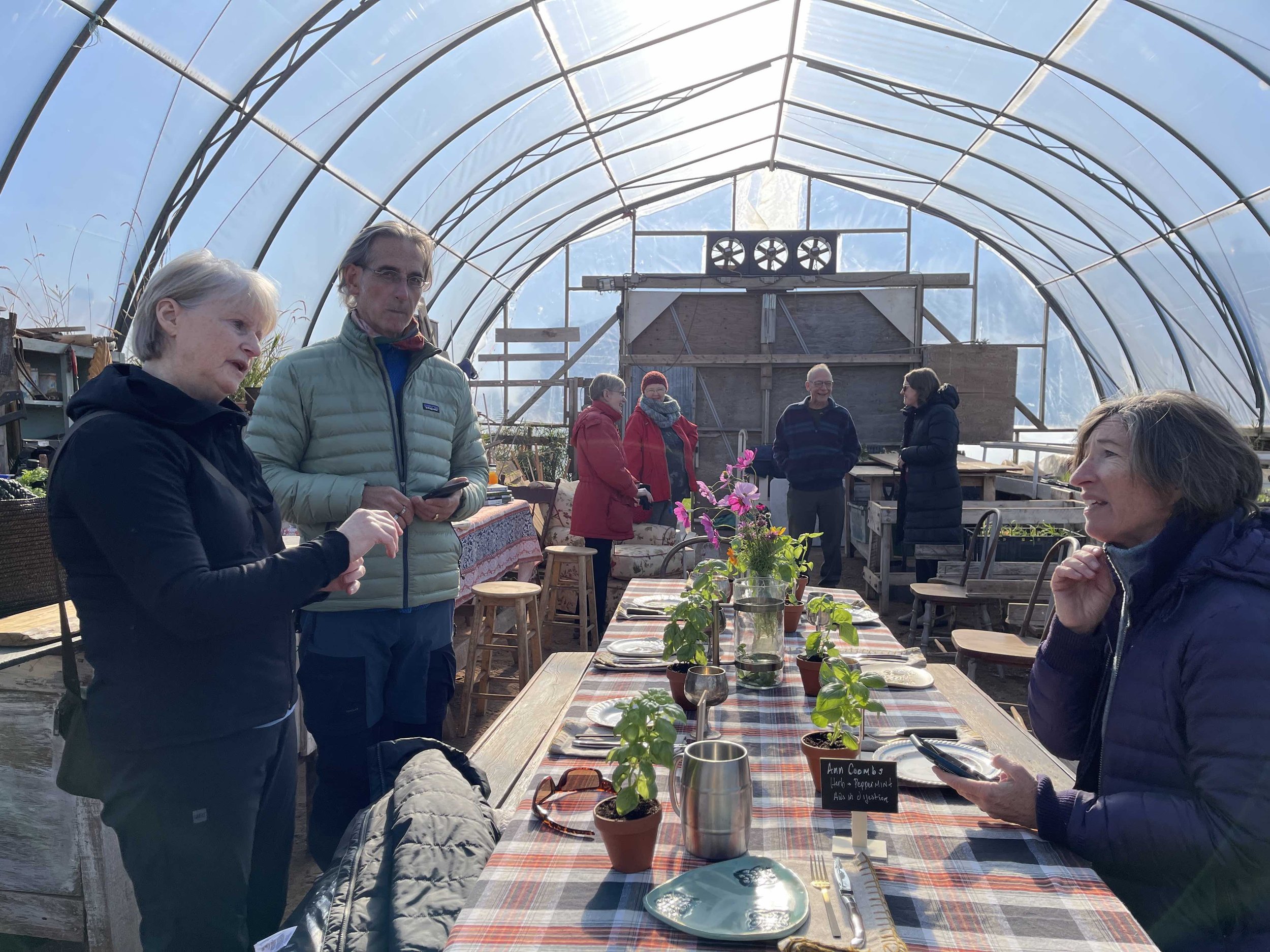 Harvesting ingredients for dinner in the greenhouse