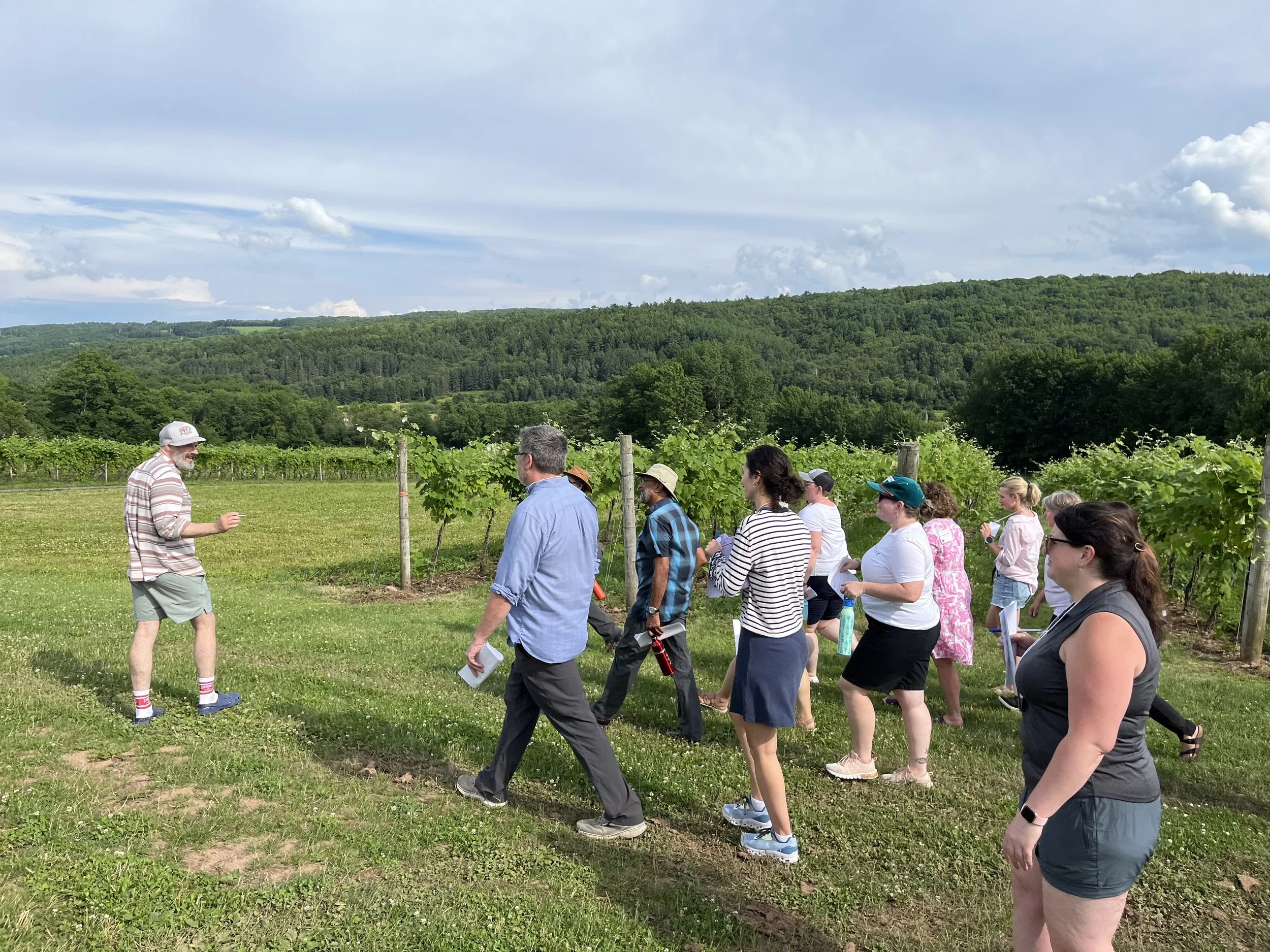 Benjamin bridge group walk.JPG