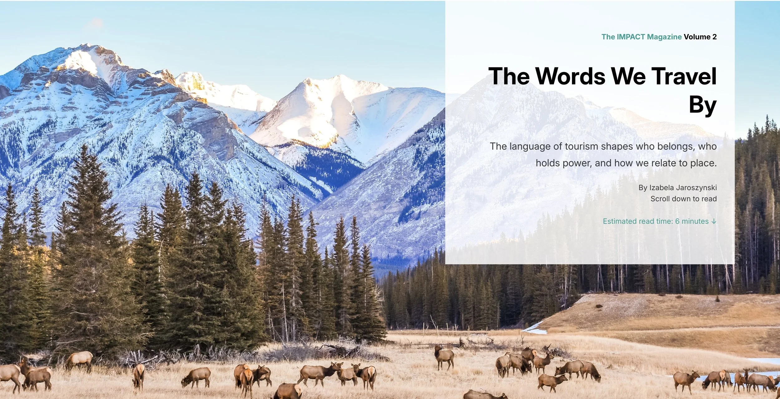The Words We Travel By, an inspiring article by Izabela Jaroszynski, Landsby & IMPACT National