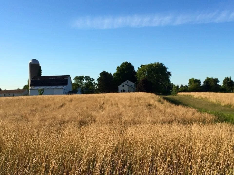 The Story That Starts Our Adventure!