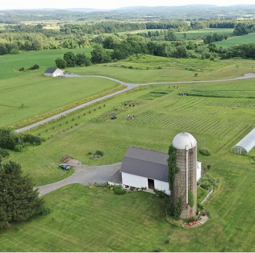 Follow Us — Bristol Hills Lavender & Flower Farm