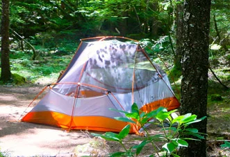 tent.jpg
