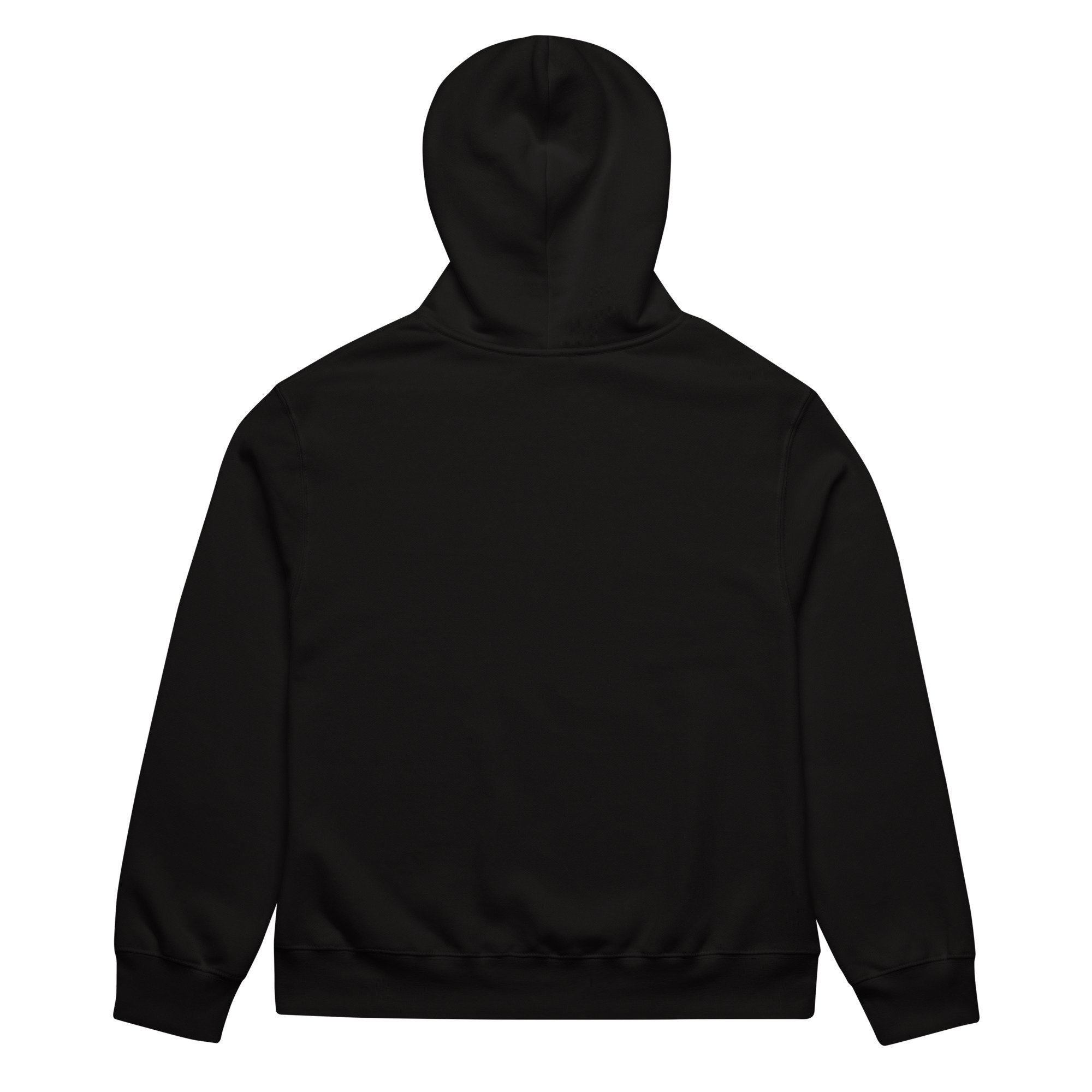 unisex-oversized-heavyweight-hoodie-black-back-699e91909024f.jpg