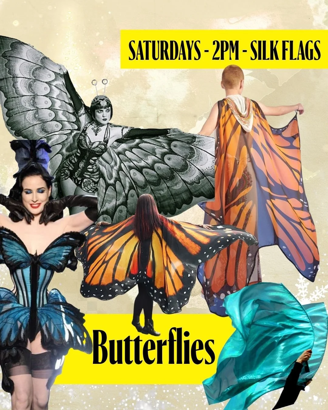 Silk Veil Butterflies.jpg