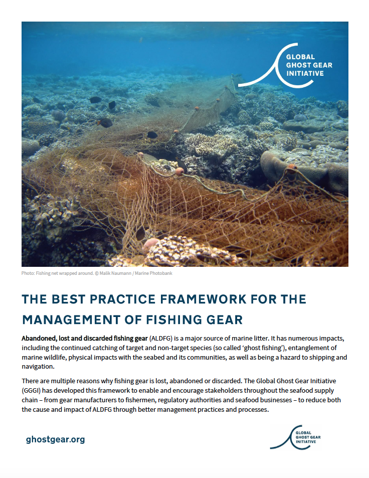 Best Practice Framework Overview