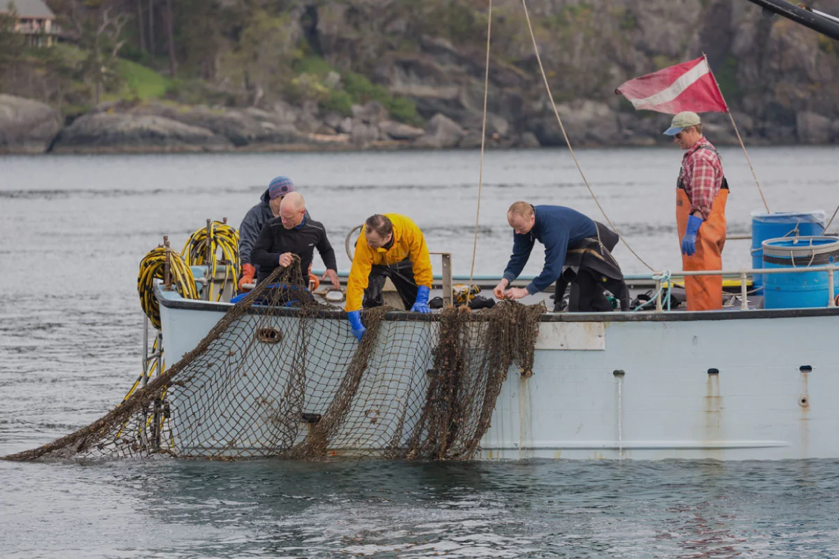 Global Ghost Gear Initiative