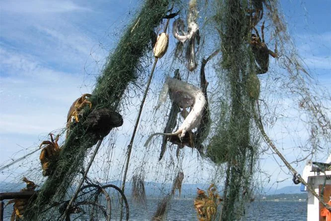 Northwest Straits Derelict Fishing Gear Program