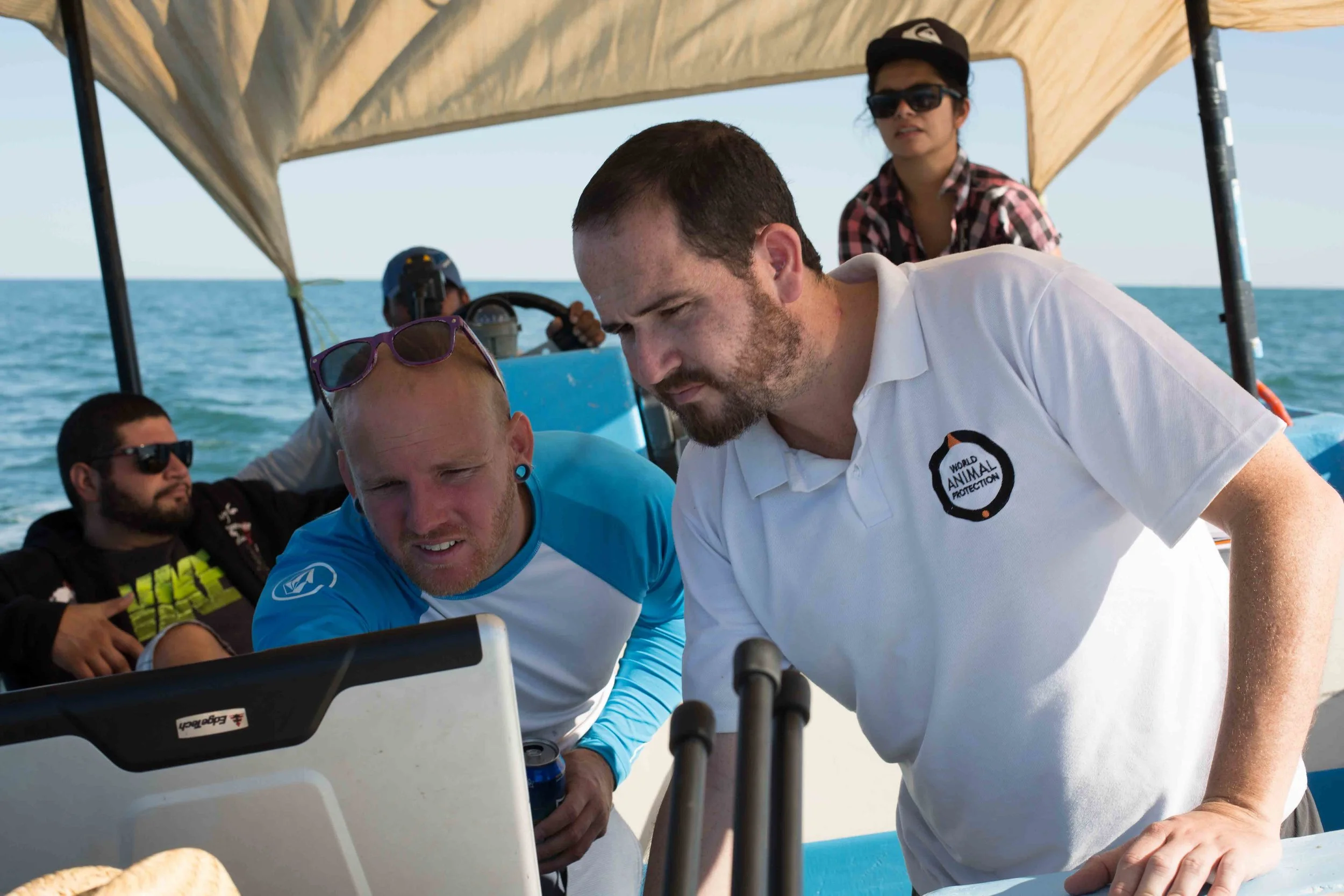 GGGI PROJECT: Vaquita Habitat Gear Removal - Gulf of California