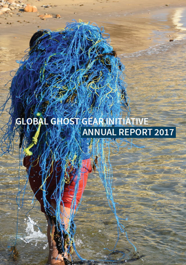 GGGI Annual Report 2017