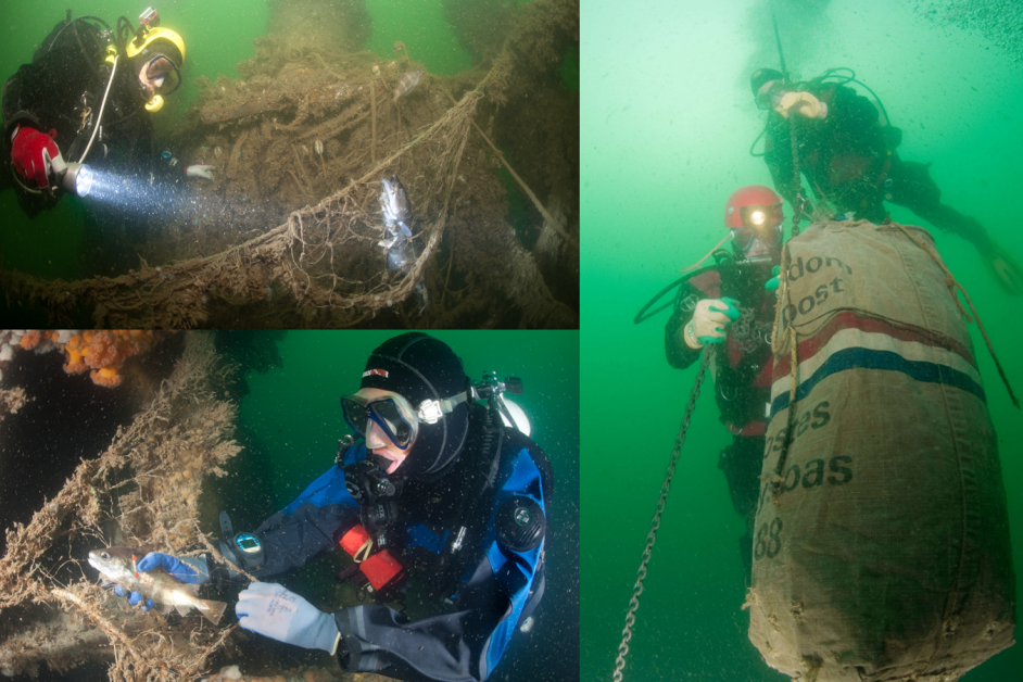 Healthy Seas Photos - Peter Verhoog