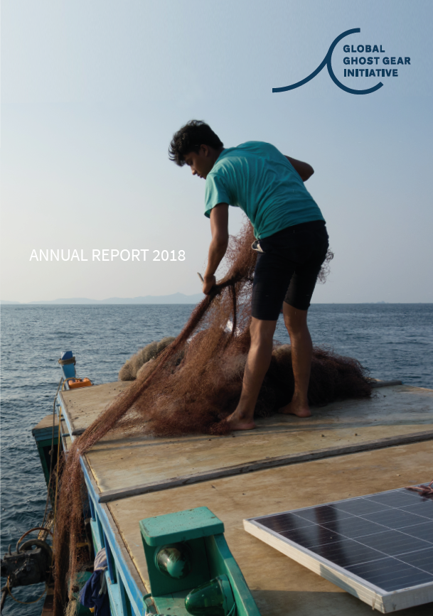 GGGI Annual Report 2018