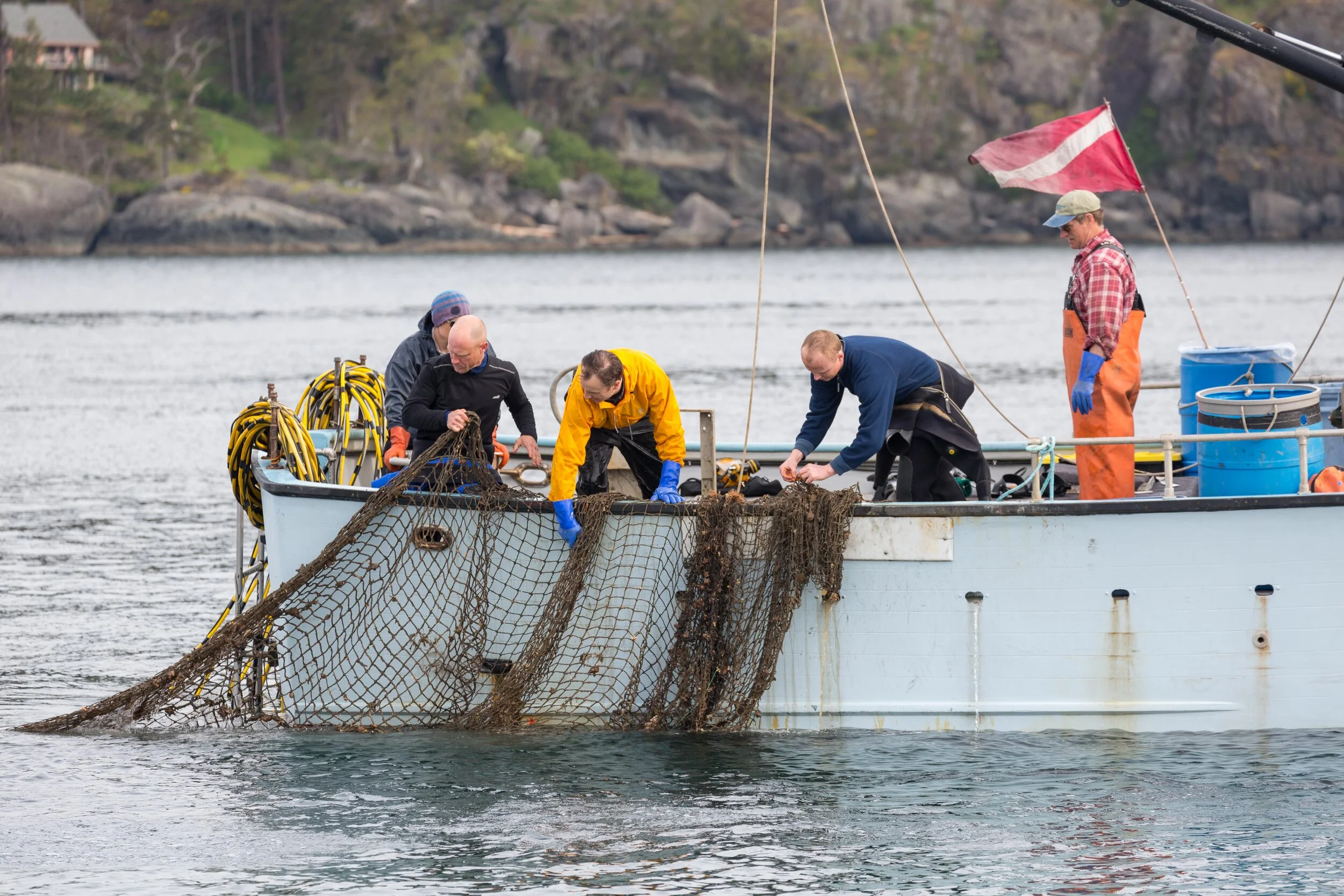 GGGI Pender (LR).jpg