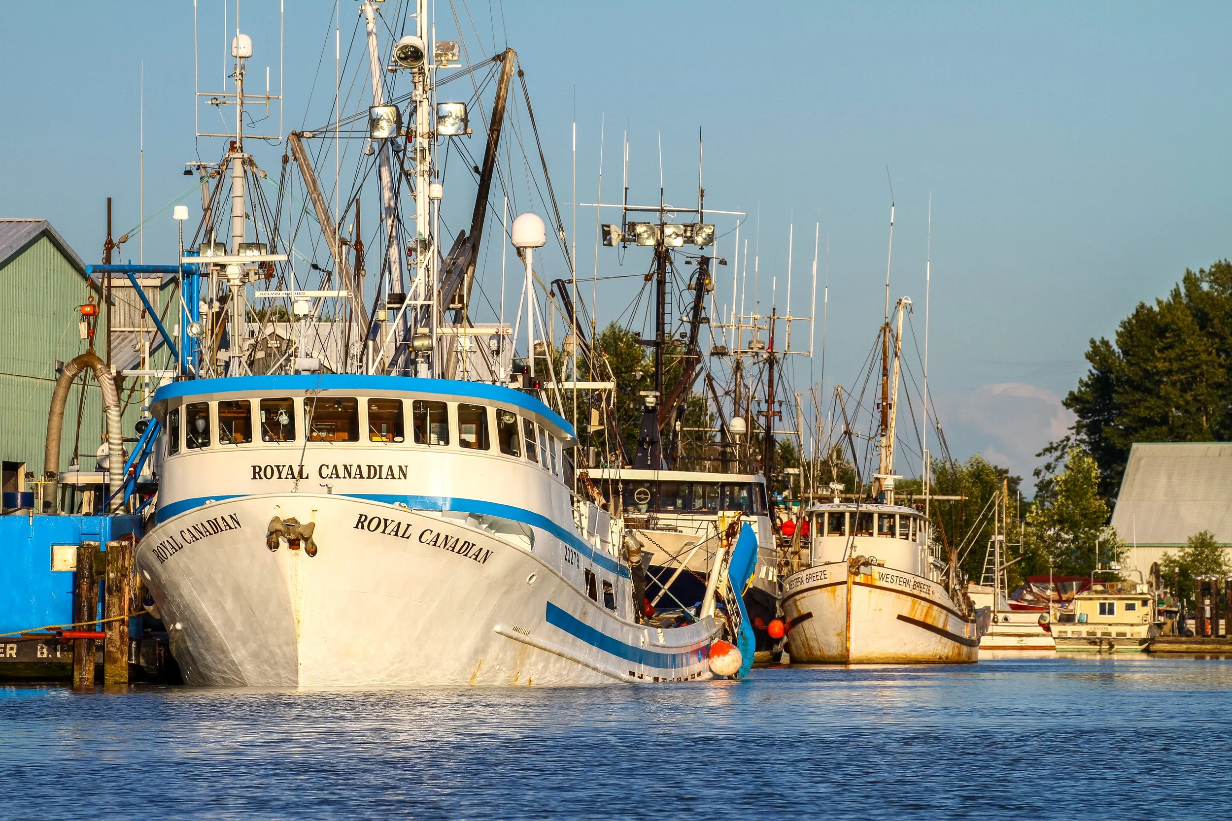 Canada Becomes First Country to Contribute National Data to GGGI Data Portal