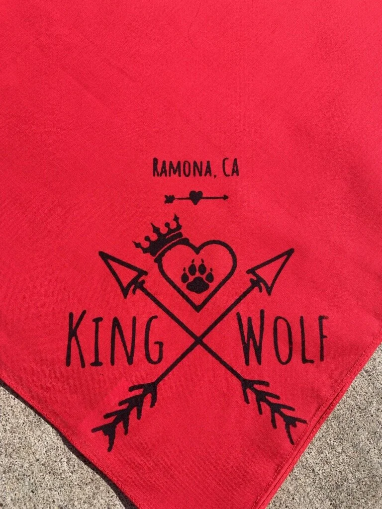 Red bandana.jpg