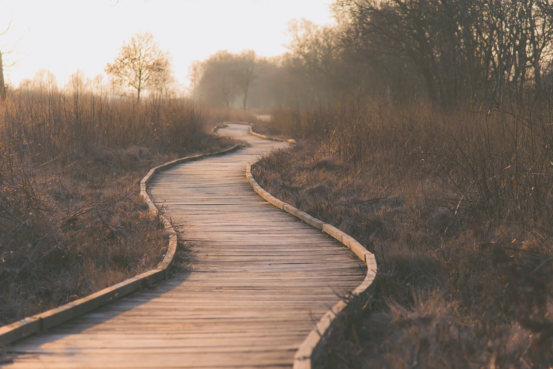 path-1839000_1920.jpg