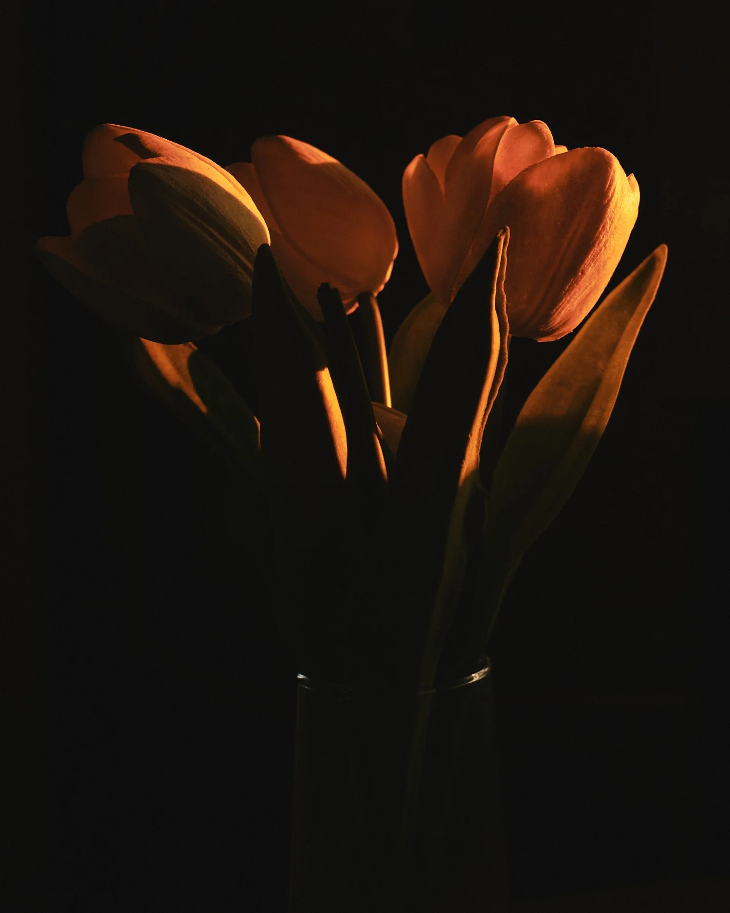 DSCF6172.jpeg
