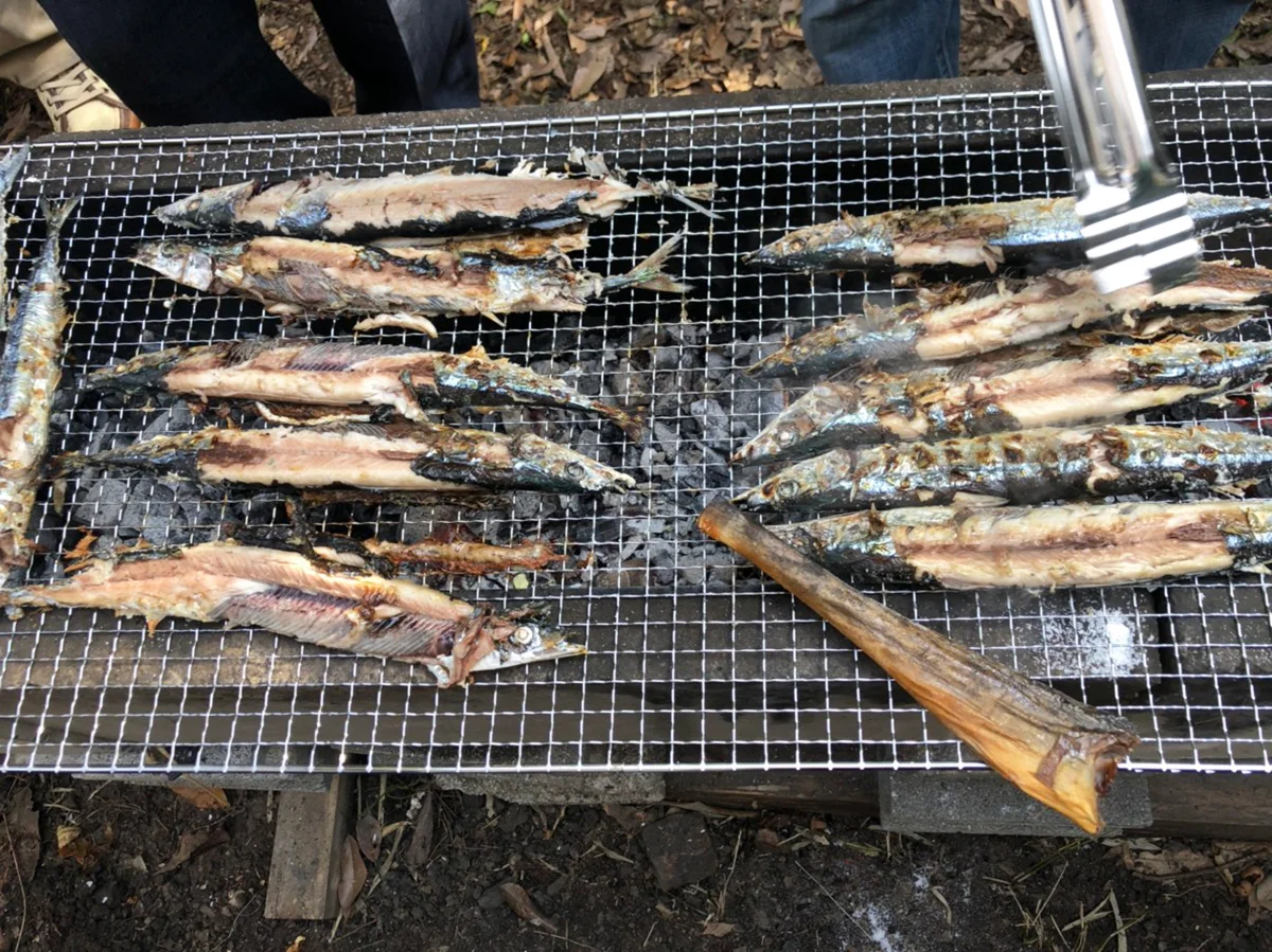 S__48316424.jpg
