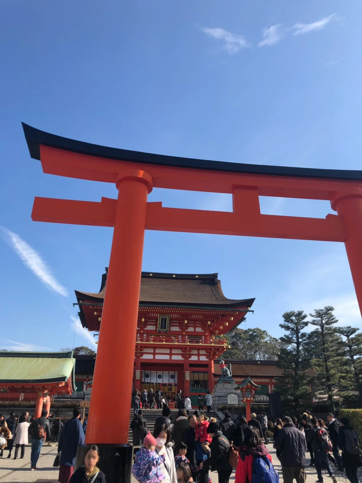S__49684554.jpg