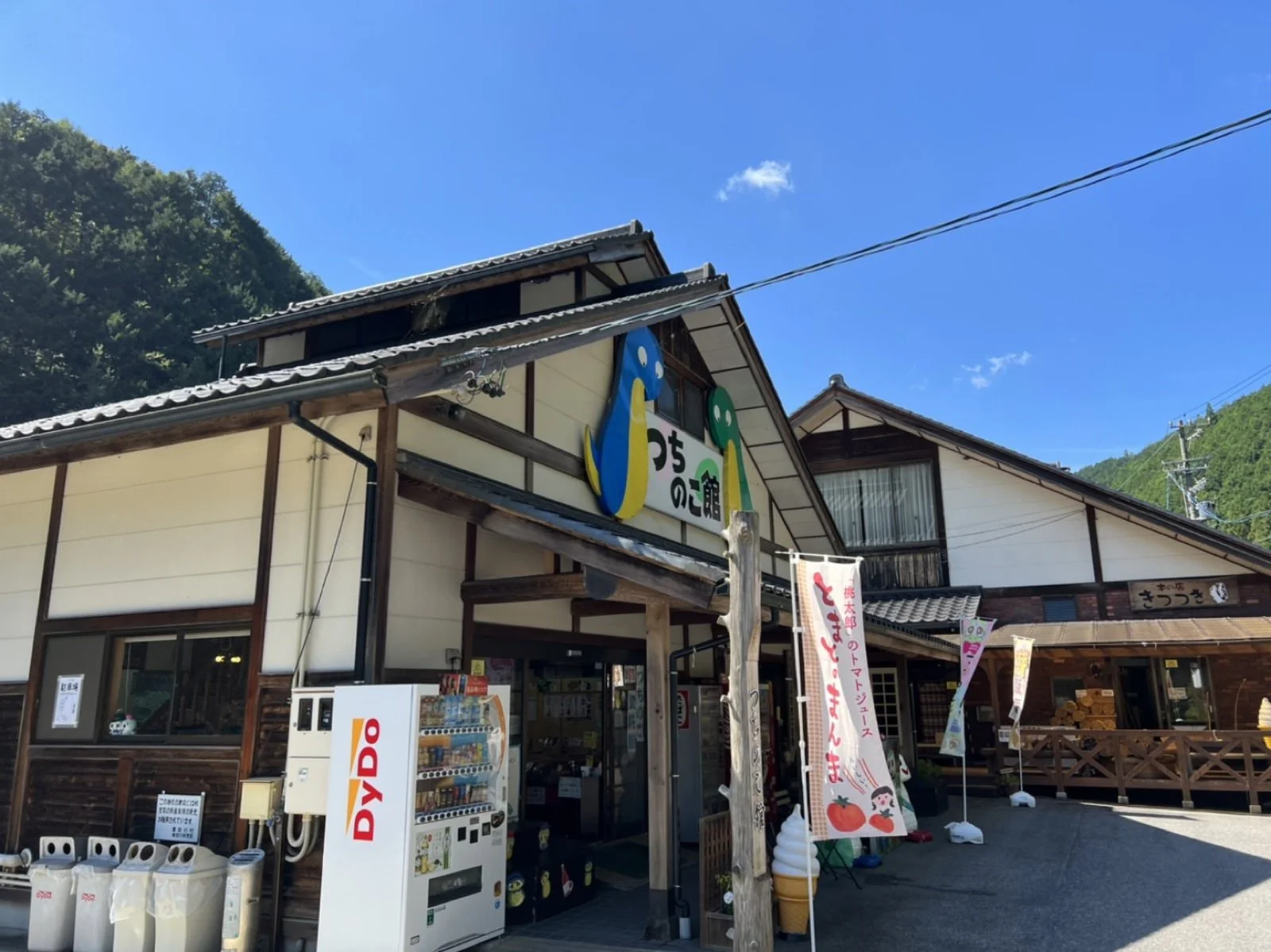 東白川村つちのこ館🐍