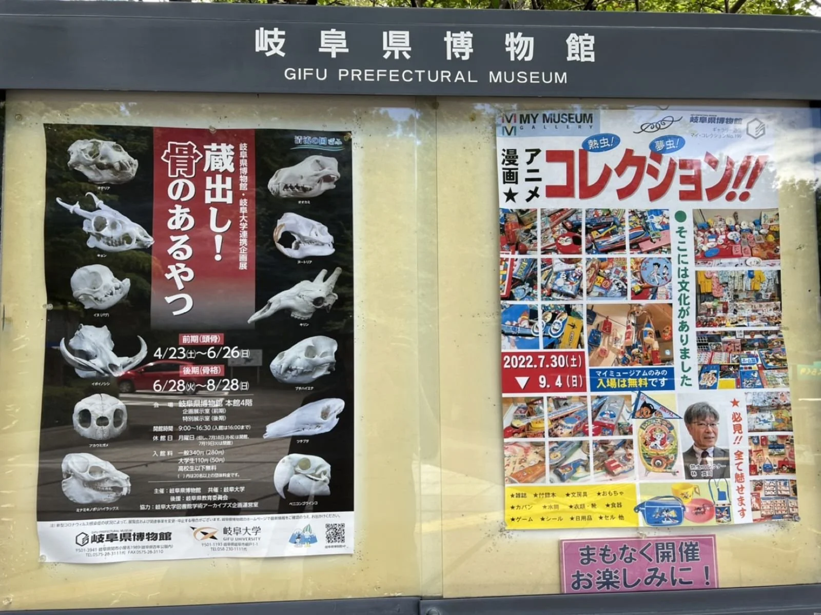 岐阜県博物館〜蔵出し！骨のあるやつ〜🦴🦖