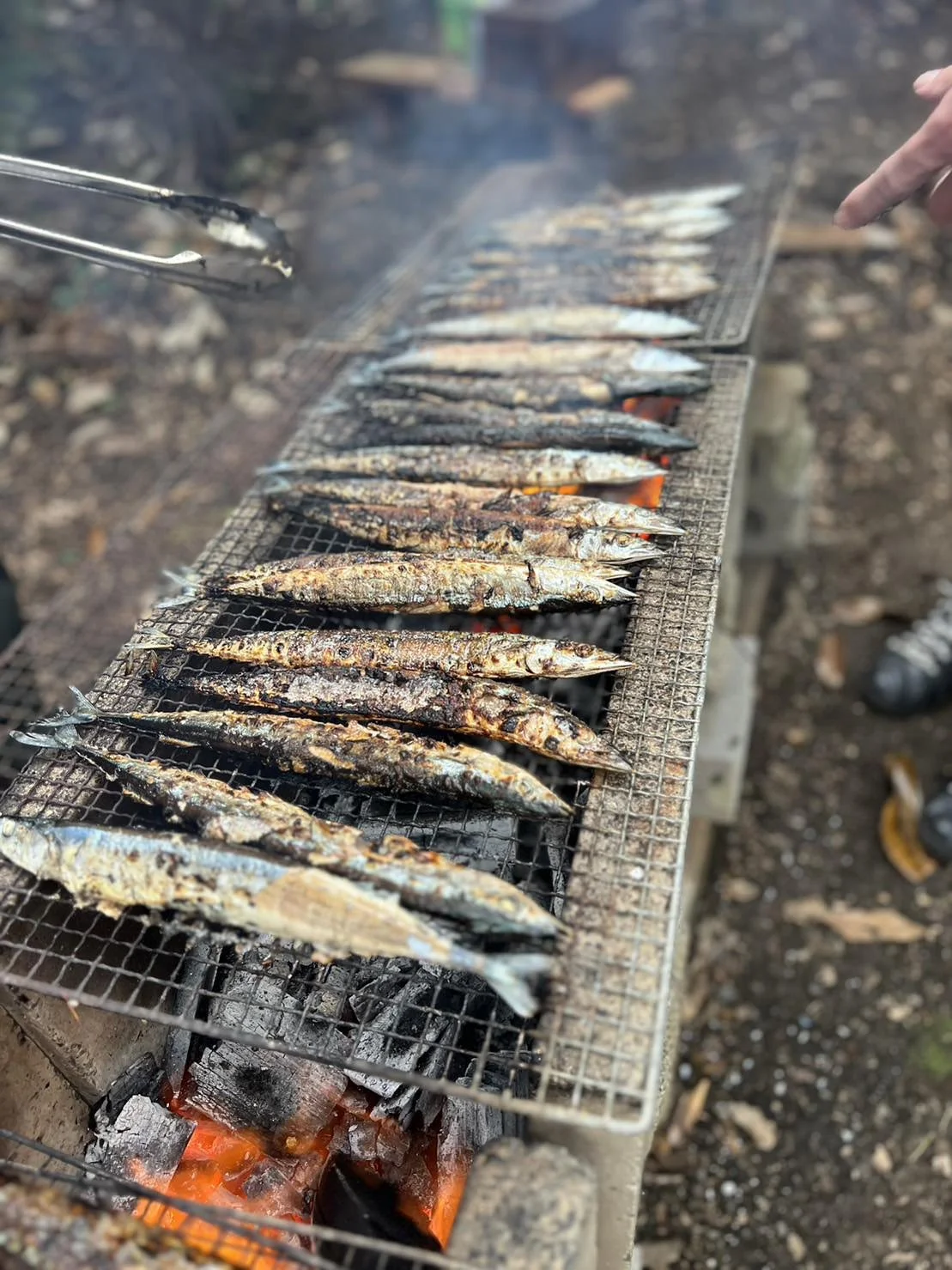 このお祭り皆さんの地域でもありますか？？