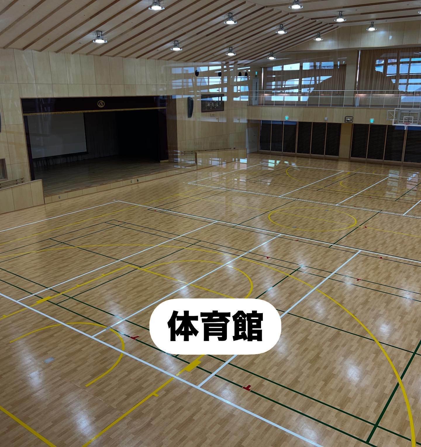 B7C84C52-A40D-4FF0-9EC2-5C02447CCBCA.jpg