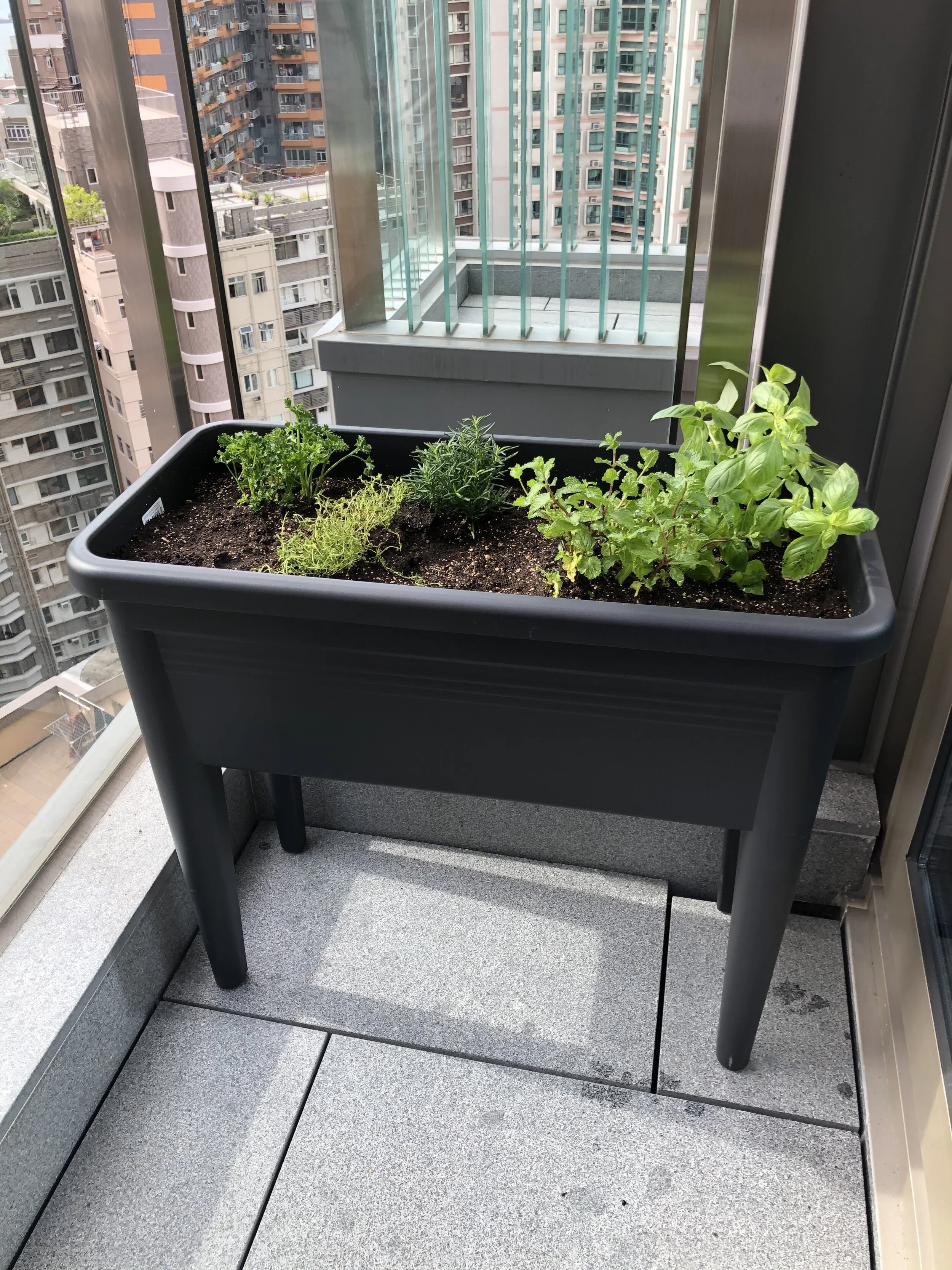 Elho Green Basics Grow Table XXL Growing Kit / 升級再造種植套裝