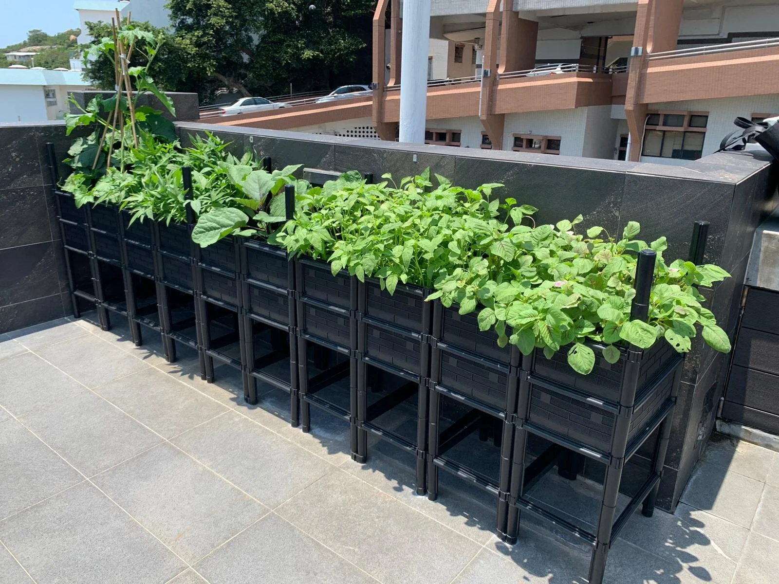 Elevated Growing Kit  / 免彎腰種植套裝