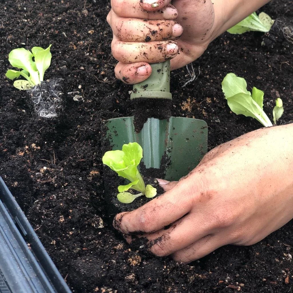 Gardening Tools / 園藝工具
