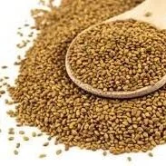 alfalfa+seeds.jpg