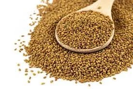 Organic Seeds for sprouting / 有機芽苗種子