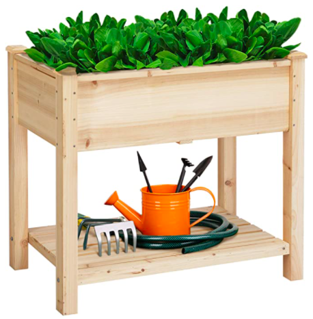 Fir Wood Growing Kit / 杉木種植套裝