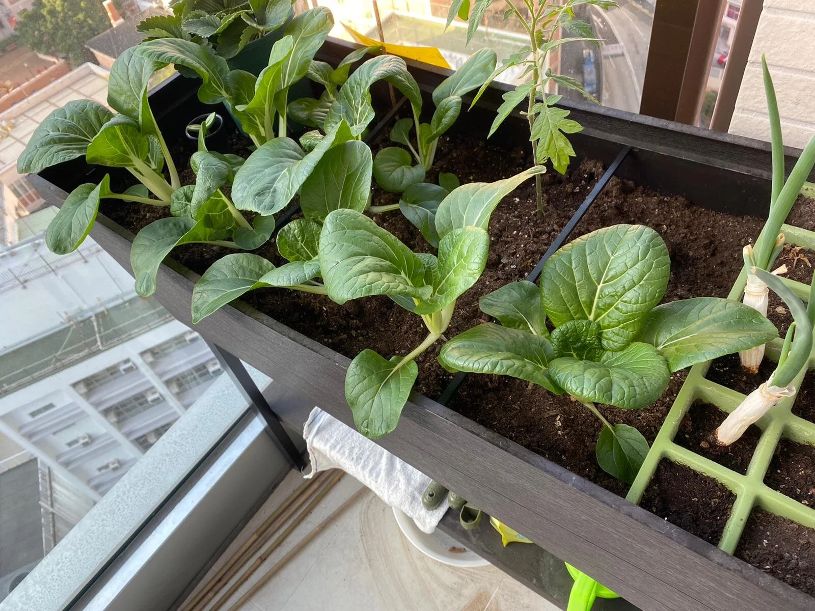 WhatsApp Image 2021-07-12 at 11.28.30 AM.jpeg