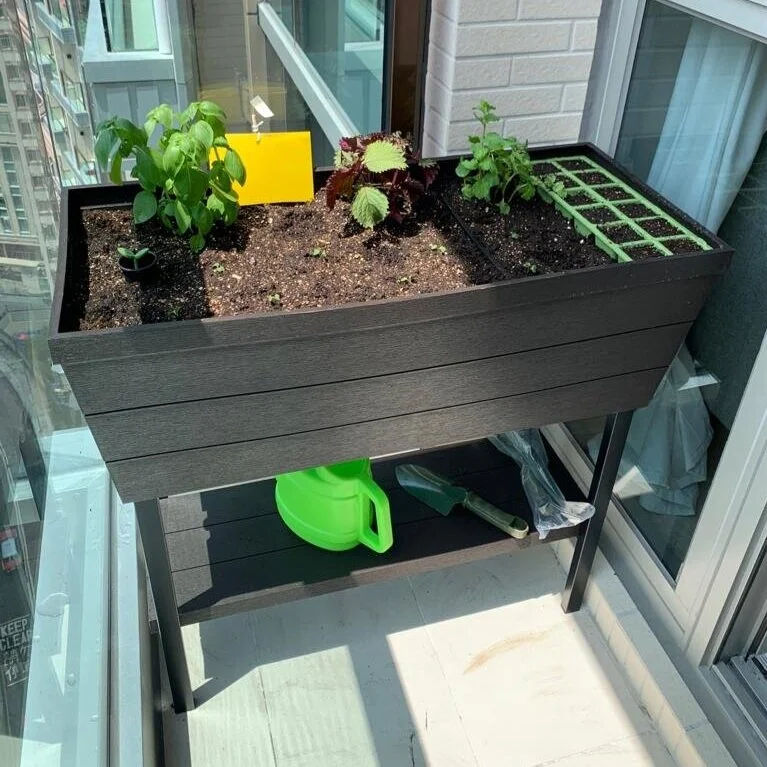 Keter Urban Bloomer Planter / 都市種植達人種植箱