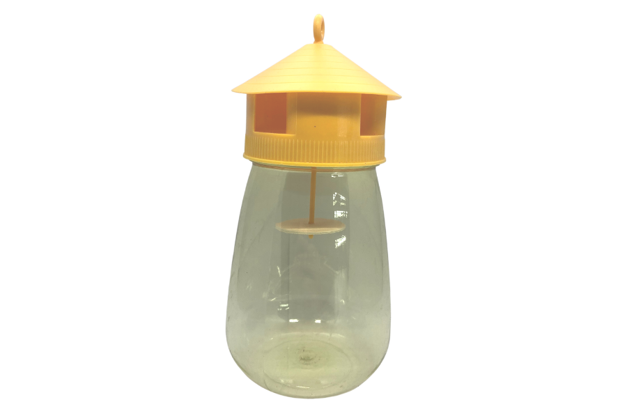 Fruit Fly Trap / 瓜蠅誘捕器