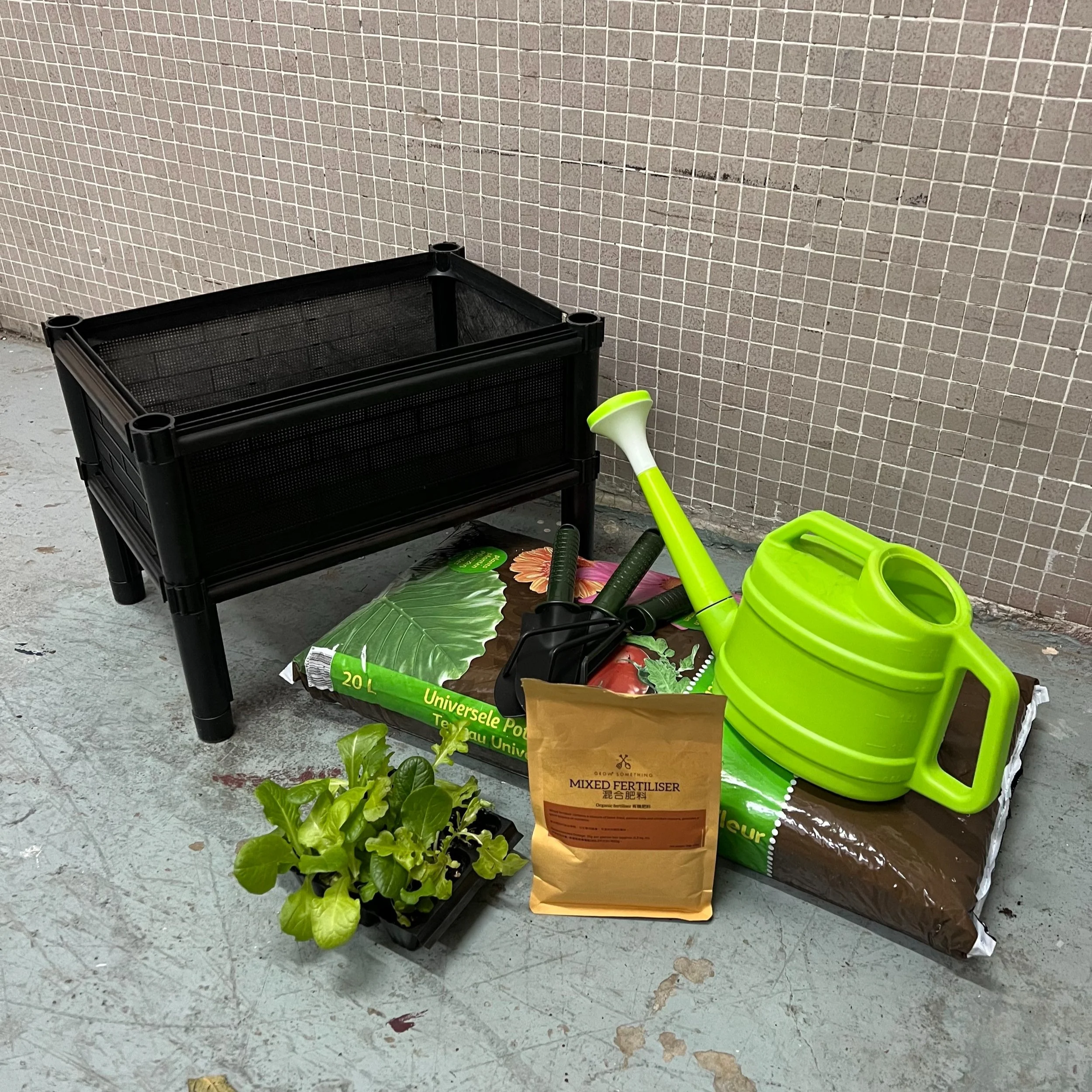 Grow+Something+%E5%B0%8F%E8%BE%B2%E5%A4%AB%E5%A4%A7%E5%8B%9F%E9%9B%86+Lettuce.jpg