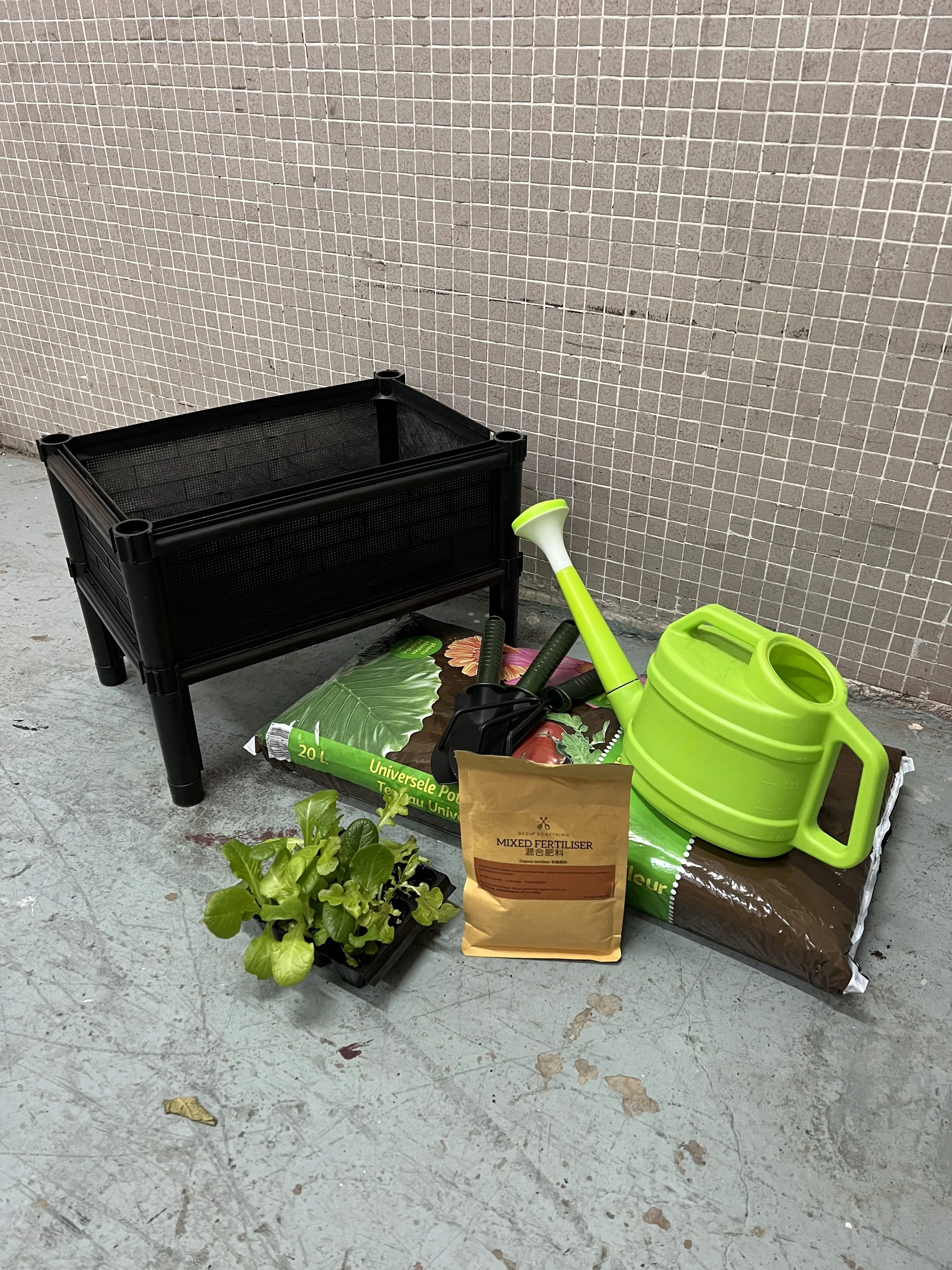 DIY種植箱套裝 / DIY Growing Kit
