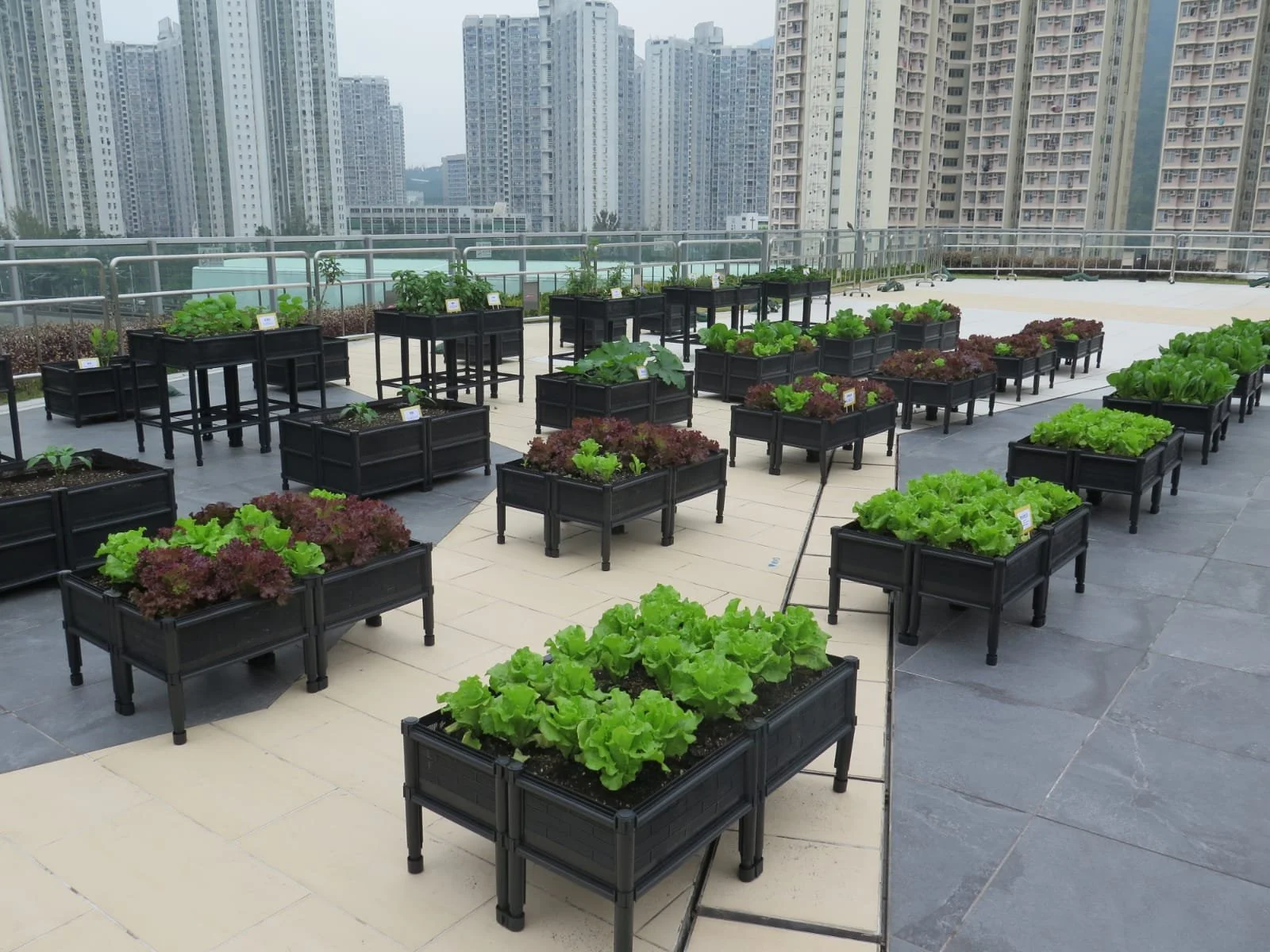 Urban Farm Setup and Management — Grow Something