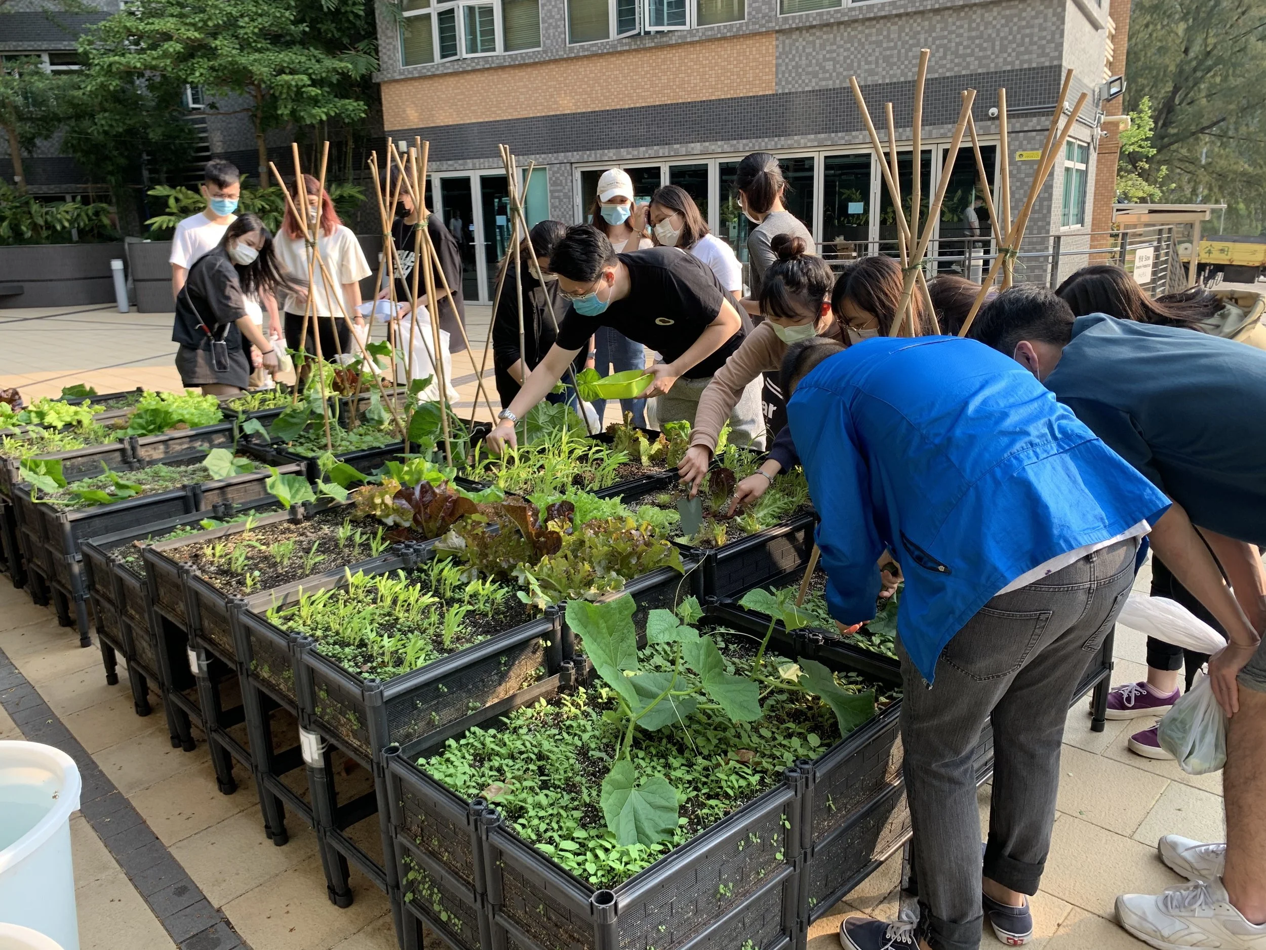 Grow Something Grow Your Own Food 1.JPG