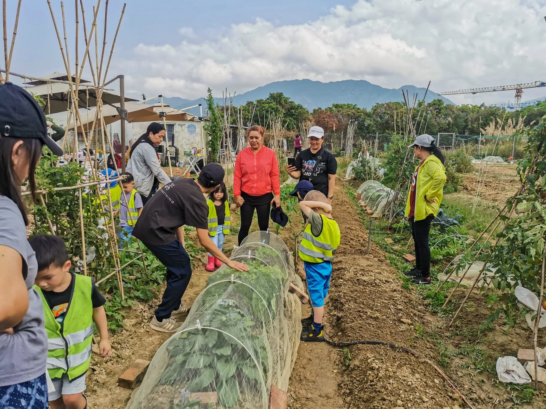 小農夫夏令營 2024 / Little Farmer Summer Camp 2024 — Grow Something