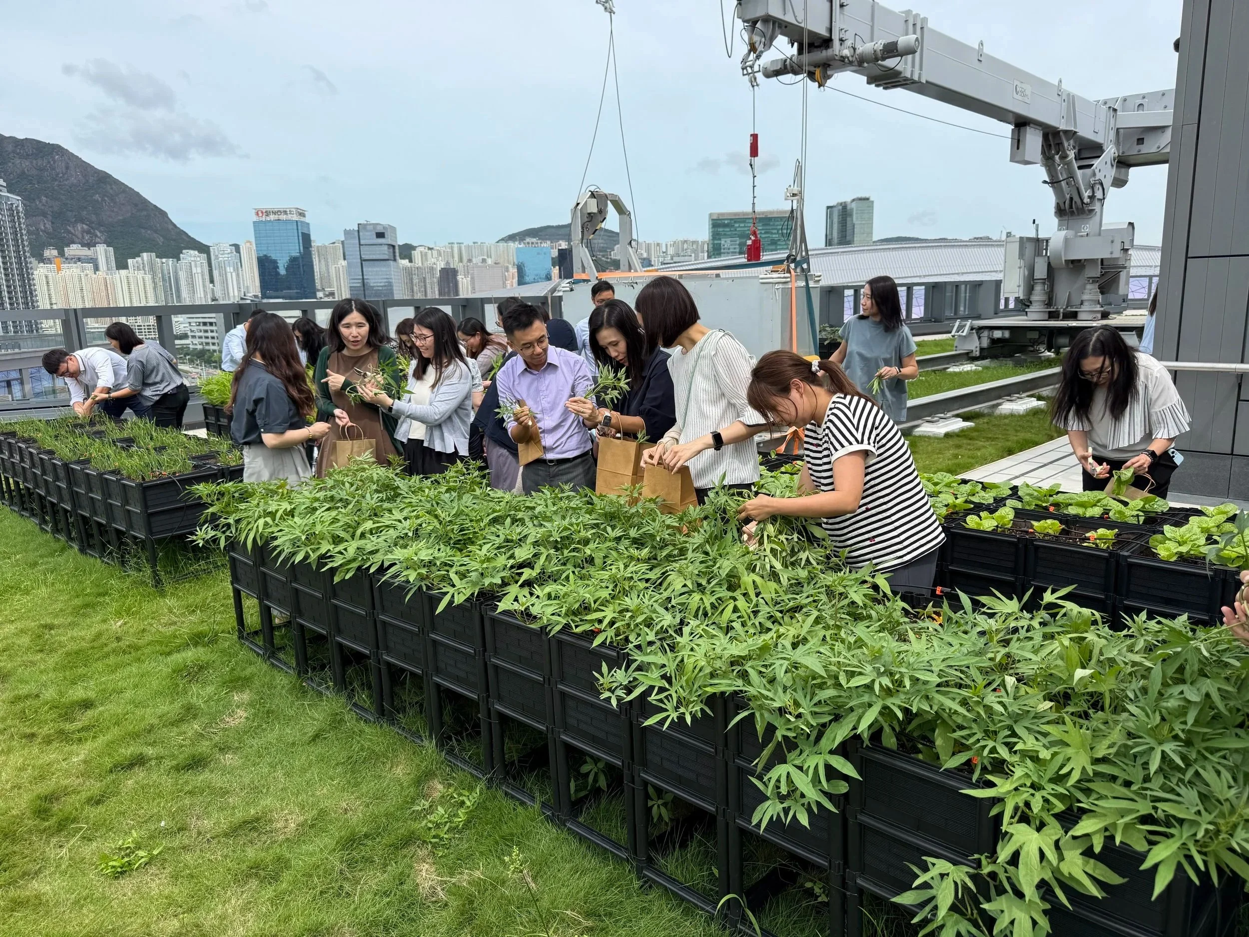 Grow Something CLP Headquarters Farming Workshop