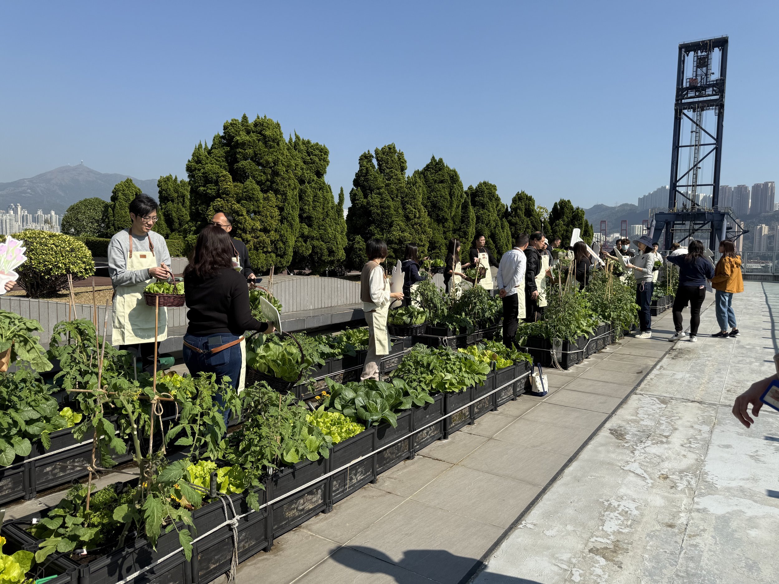 Grow Something Hutchison Telecom Tower Farming Workshop